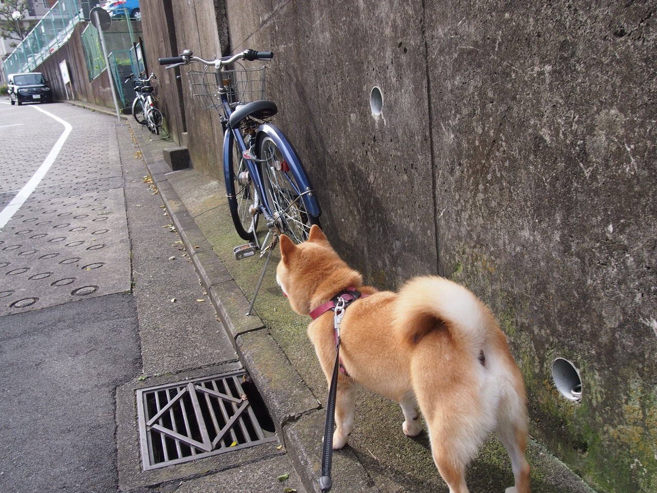 _超级天幕竞速：在星空下的极速竞技_，天幕技巧
