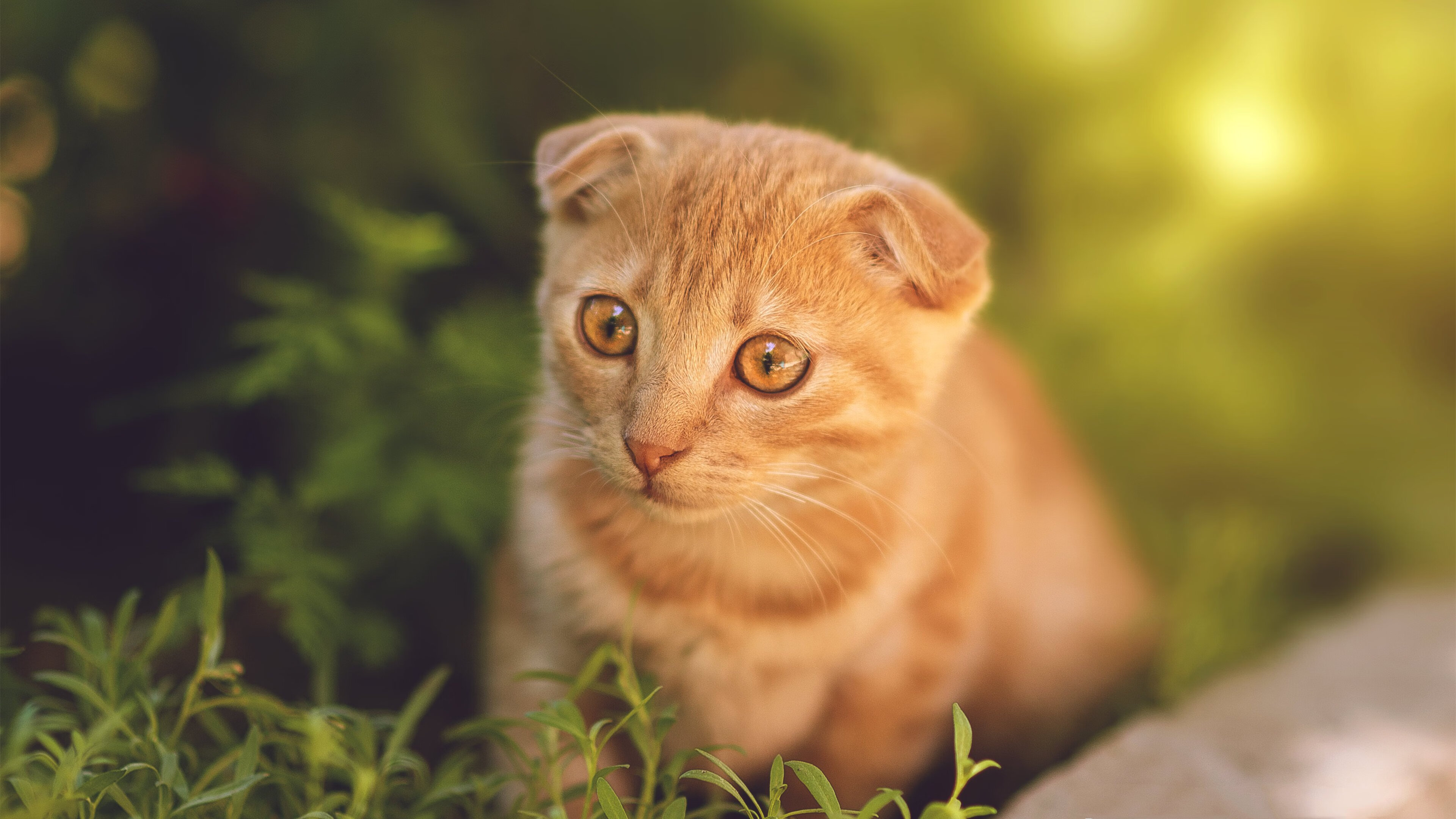 巴萨控球+流动战术:控制全场,赢得比赛主动权,巴萨传控