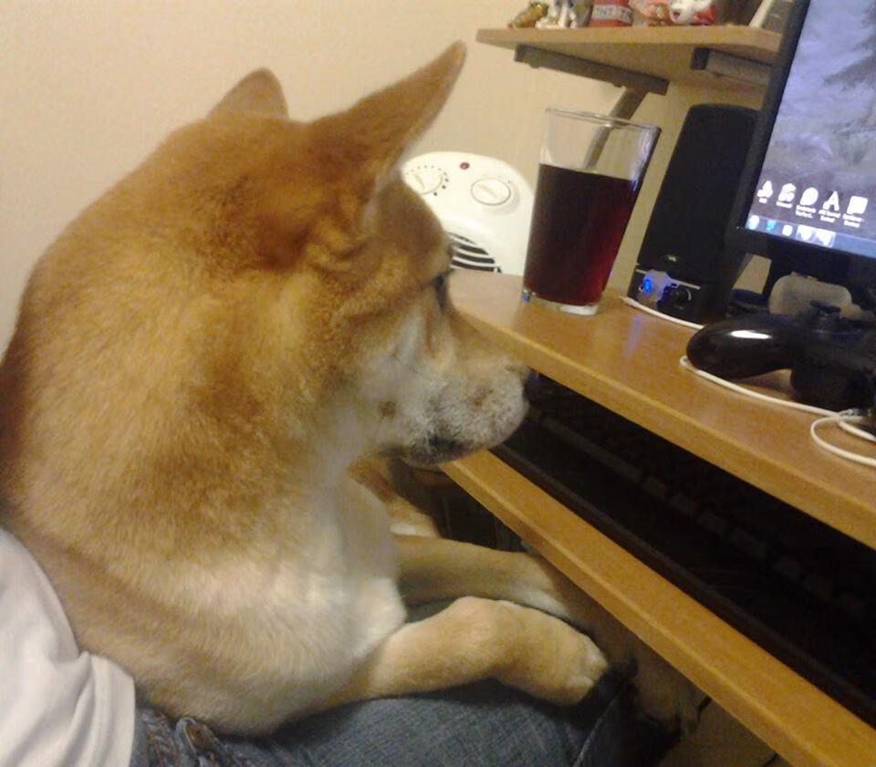 本周比赛精彩瞬间:炫技、奇迹、意外不断