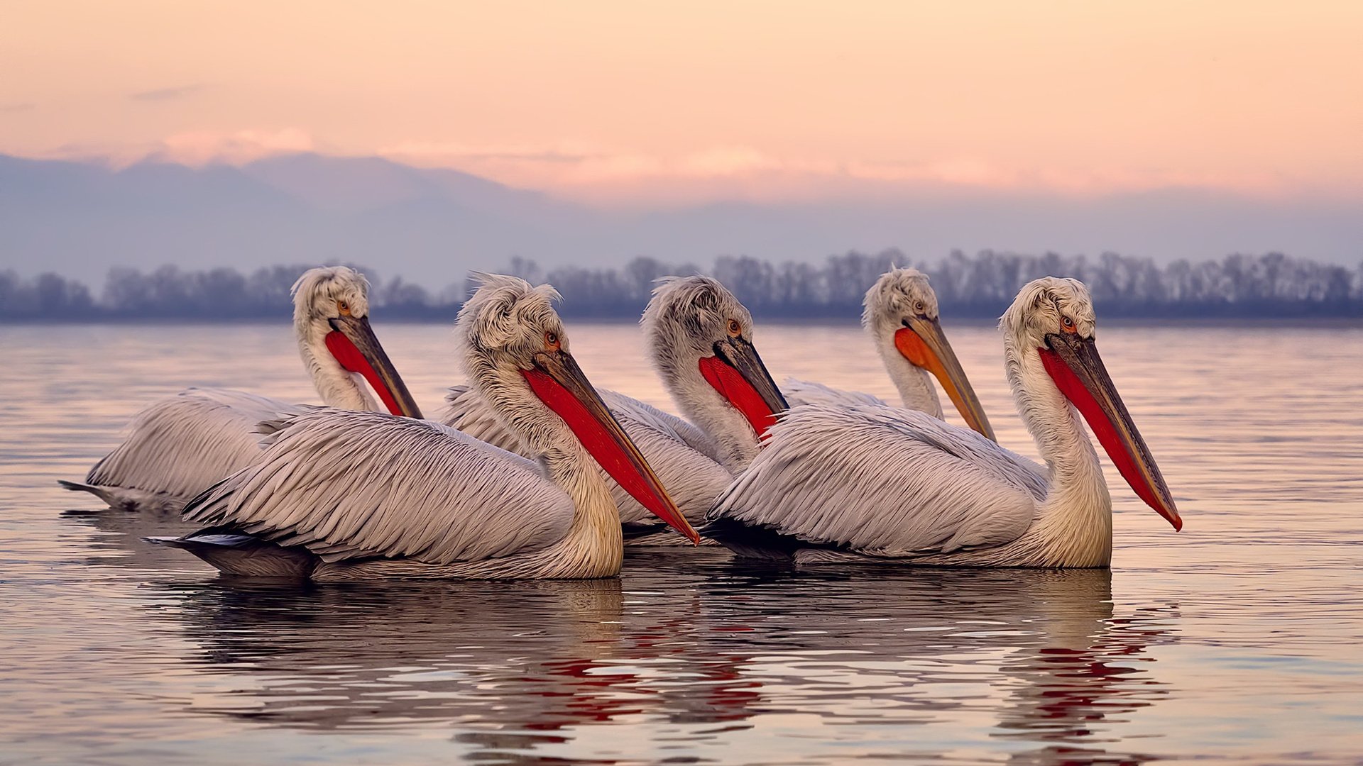 九游游戏中心-国足在世界杯预选赛中的表现，国足在世界杯预选赛中的表现如何