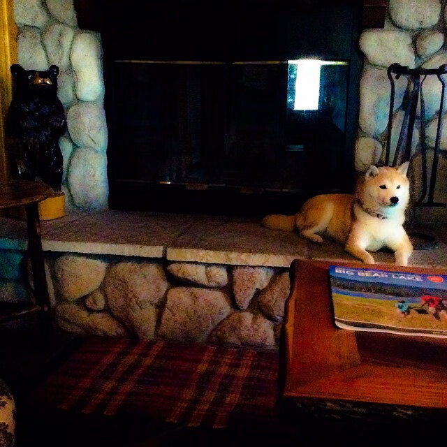 国足新赛季备战计划细节揭秘,国足21年全备战计划