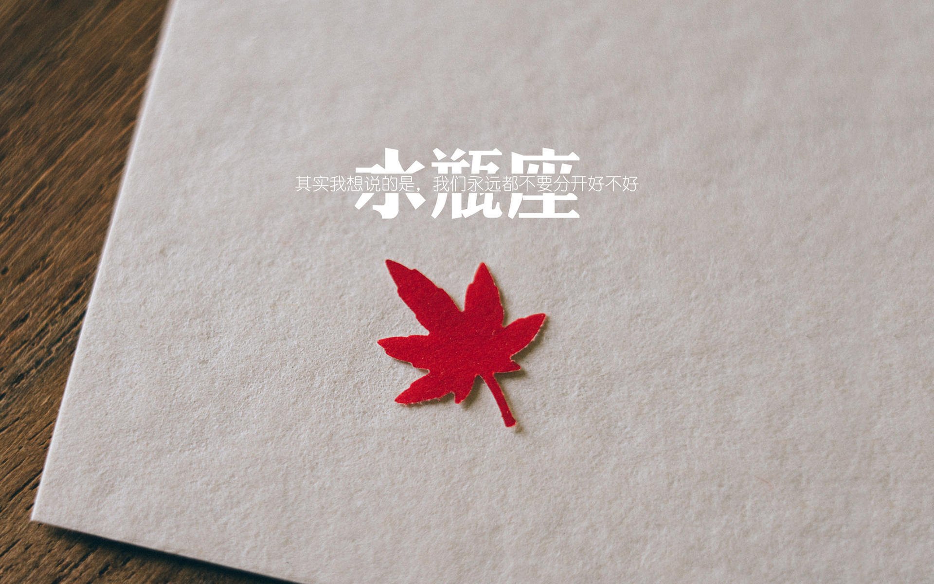 波切蒂诺重返南安普顿,能否带领球队重返胜利轨道?,波切蒂诺现在在哪执教