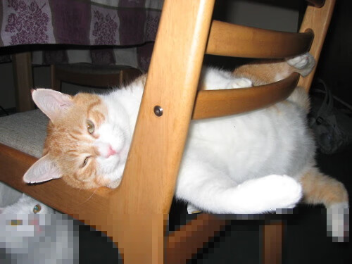 九游（jiuyou.com）游戏-荷兰队在比赛中展现出优异的进攻实力，荷兰队怎样