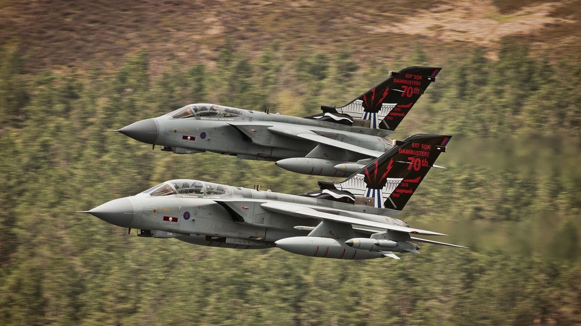 九游娱乐APP-韩国队壮烈厮混，遗憾输给对手，韩国队比赛