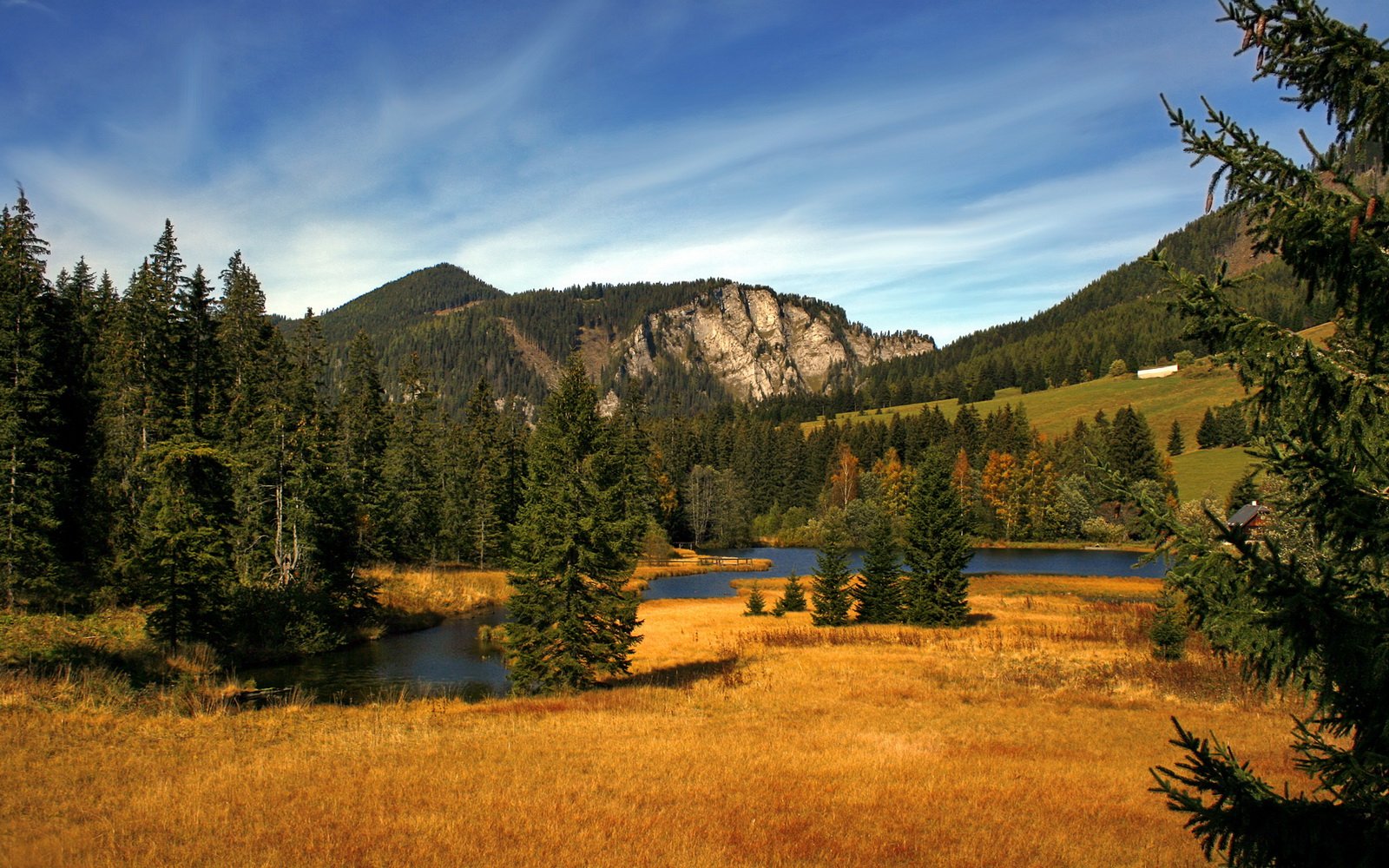 NBA球队核心球员依赖程度与战绩波动分析,nba球队底蕴