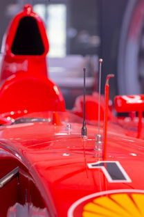 九游下载安装-全国青少年旱地冰球锦标赛在哈尔滨精彩展开，旱地冰球比赛时间