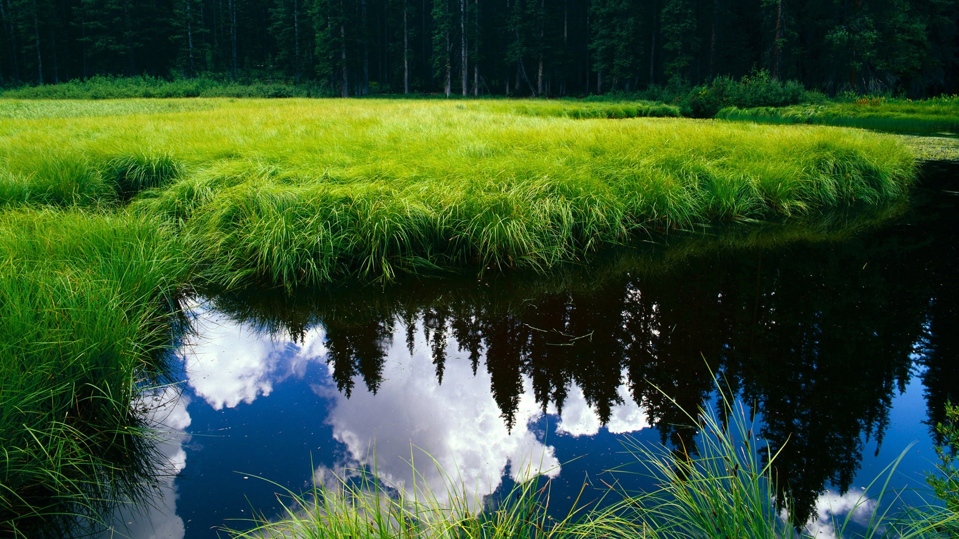 关键赛事即将到来，英格兰、爱尔兰男队谁能脱颖而出？，英格兰对爱尔兰友谊赛