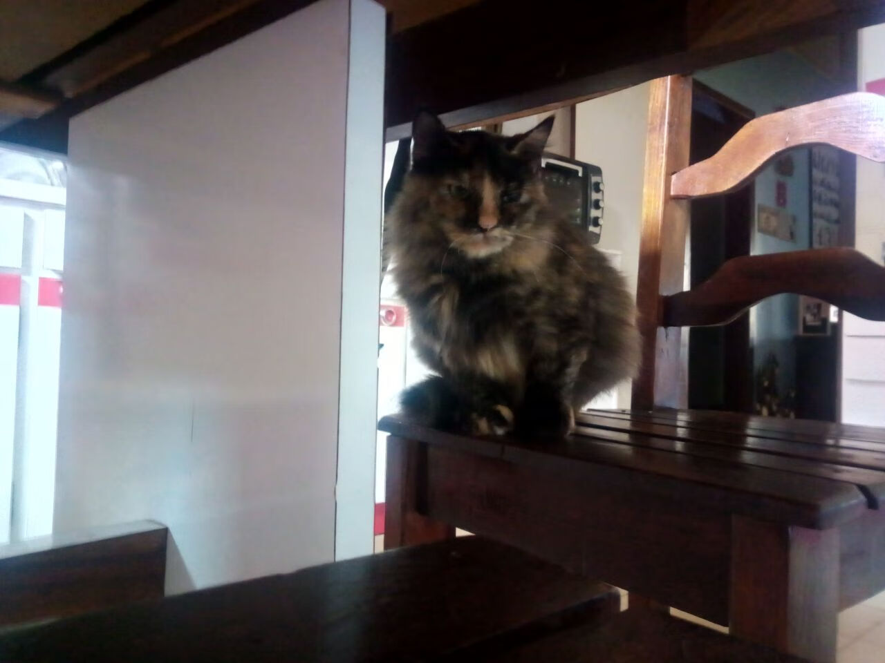 教练强调全队要有危机意识保持警觉应对任何场上突发变化