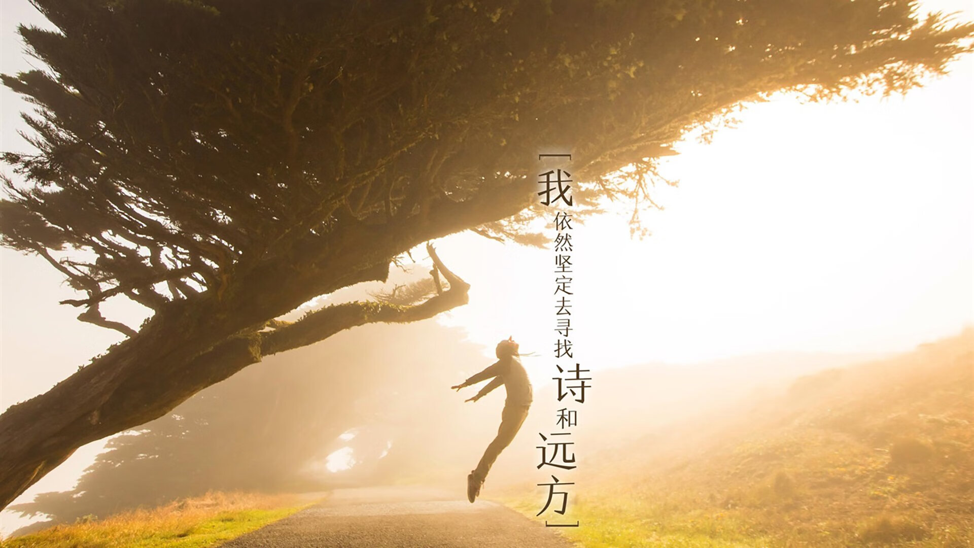 澳大利亚男篮在奥运预选赛中突出重围,奋勇前行