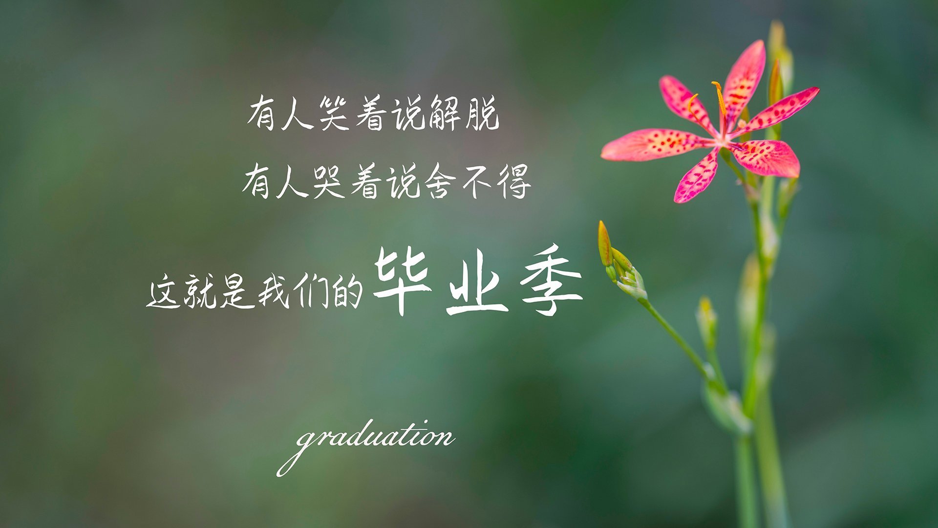 球队引进营养顾问针对个人情况制定科学饮食方案