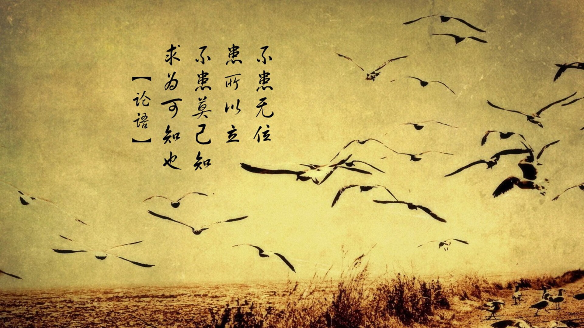 英超积分激烈角逐,冠军悬念渐趋明朗