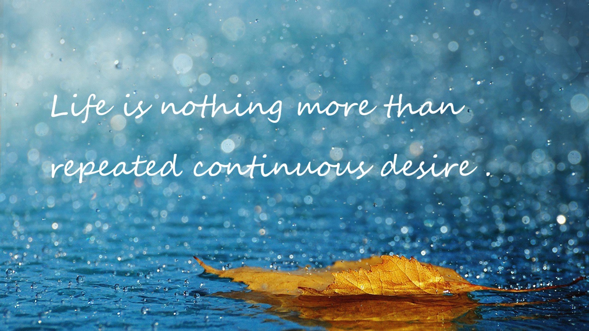 跳水荷兰女选手步步为营,国外女士跳水